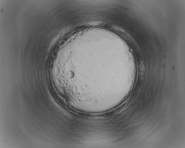 X0000078270734200612011719