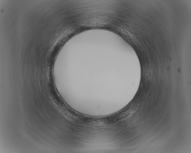 X0000078270735200612011719