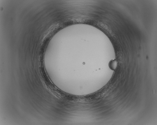 X0000078270738200612011719