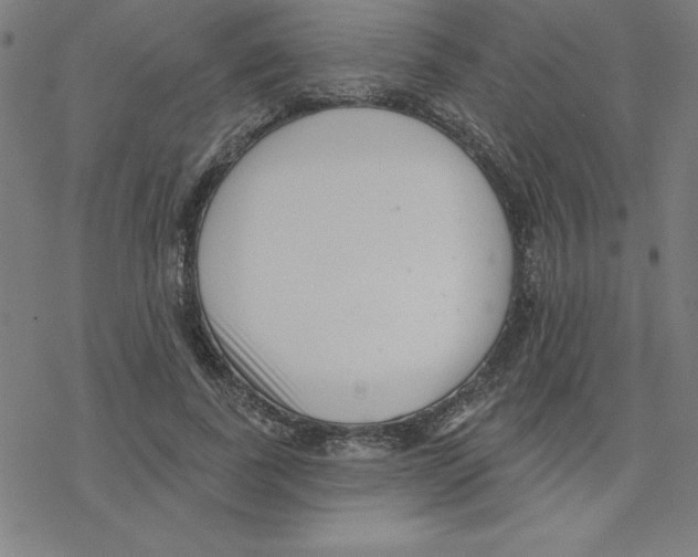 X0000078270739200612011719