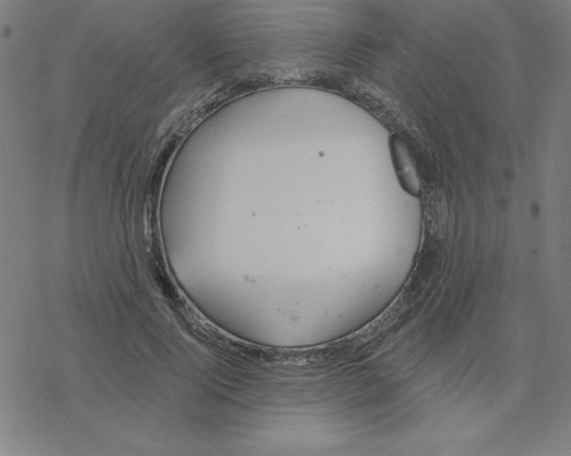 X0000078270740200612011719