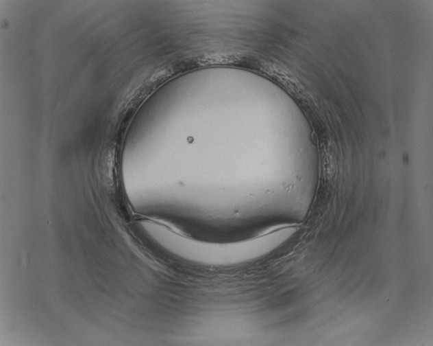 X0000078270742200612011719