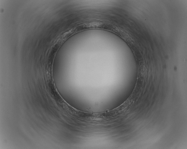 X0000078270743200612011719