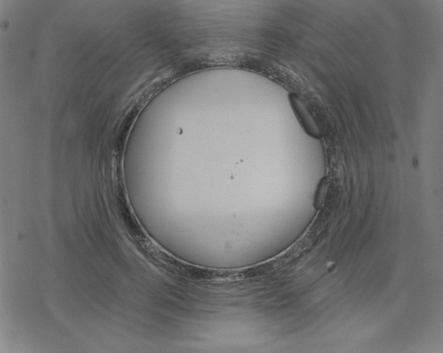 X0000078270744200612011719