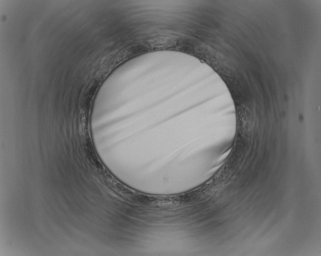 X0000078270745200612011719