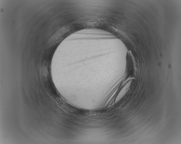 X0000078270746200612011719