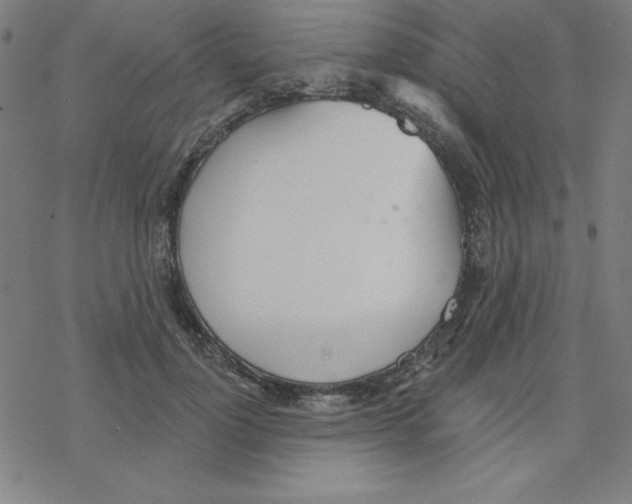 X0000078270748200612011719