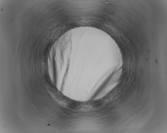 X0000078270749200612011719