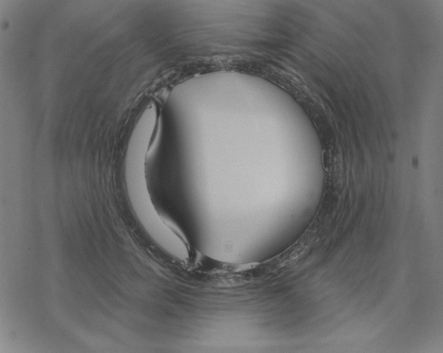 X0000078270750200612011719