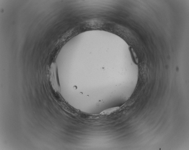 X0000078270752200612011719