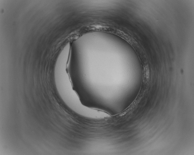 X0000078270754200612011719