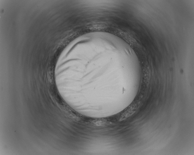 X0000078270755200612011719