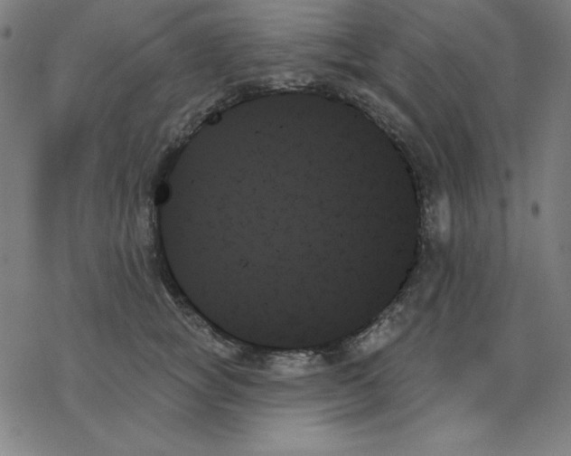 X0000078270757200612011719