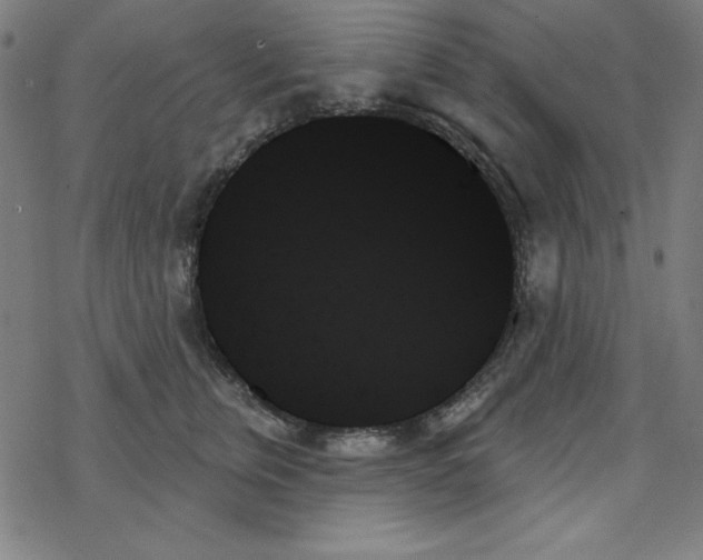 X0000078270759200612011719