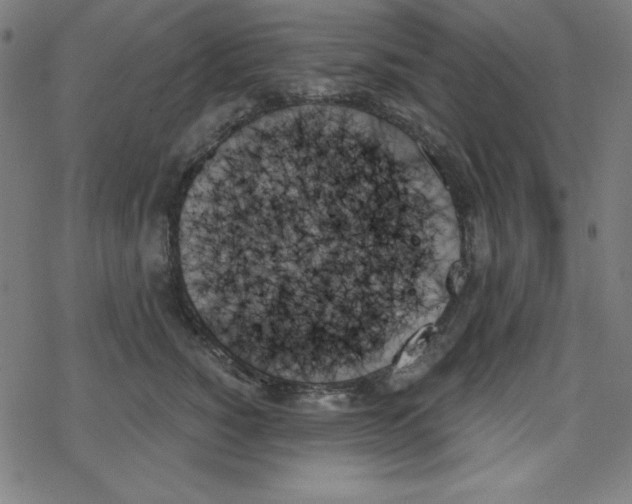 X0000078270760200612011719