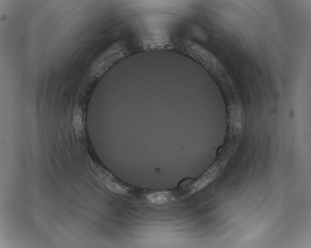 X0000078270761200612011719