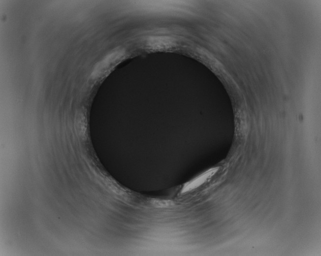 X0000078270762200612011719