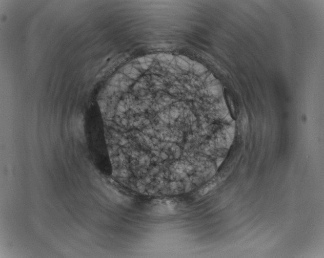 X0000078270764200612011719