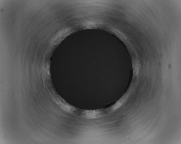 X0000078270766200612011719