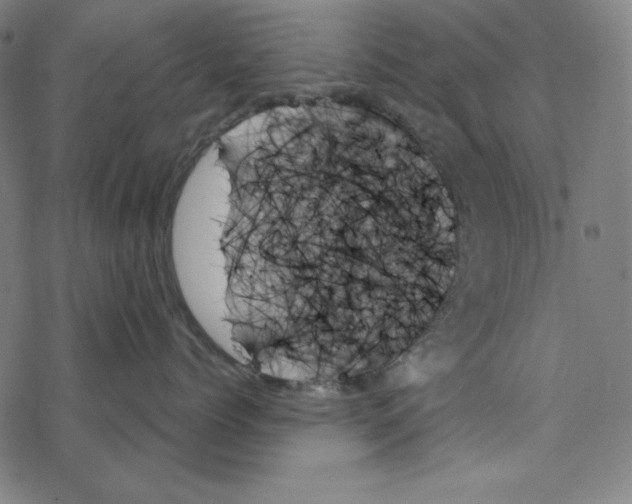 X0000078270768200612011719