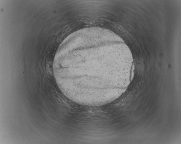 X0000078270770200612011718