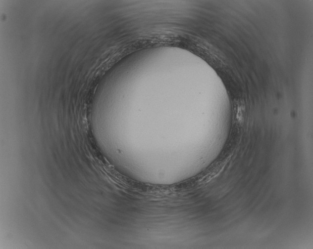 X0000078270771200612011718