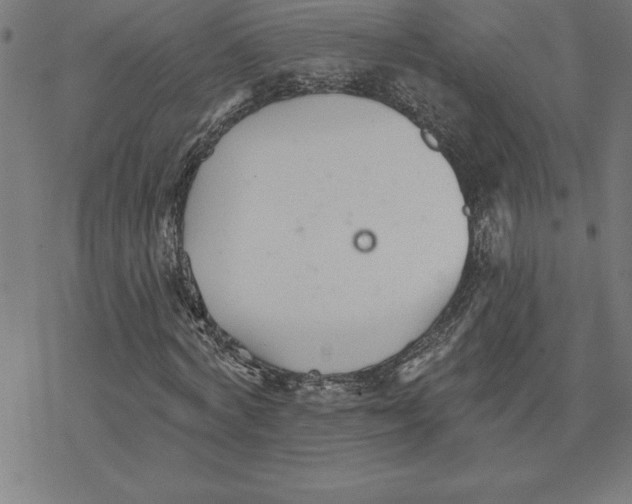 X0000078270772200612011718