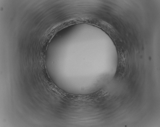 X0000078270773200612011718