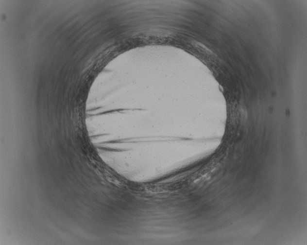 X0000078270774200612011718