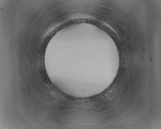 X0000078270775200612011718