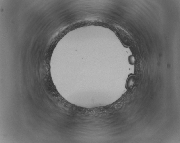 X0000078270776200612011718