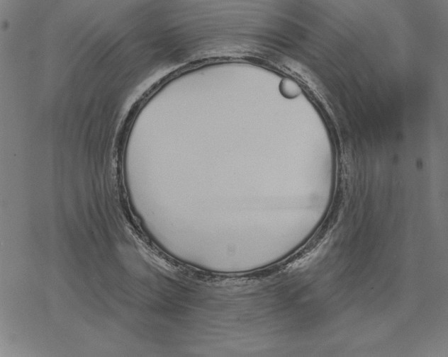 X0000078270779200612011718