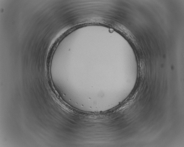 X0000078270780200612011718