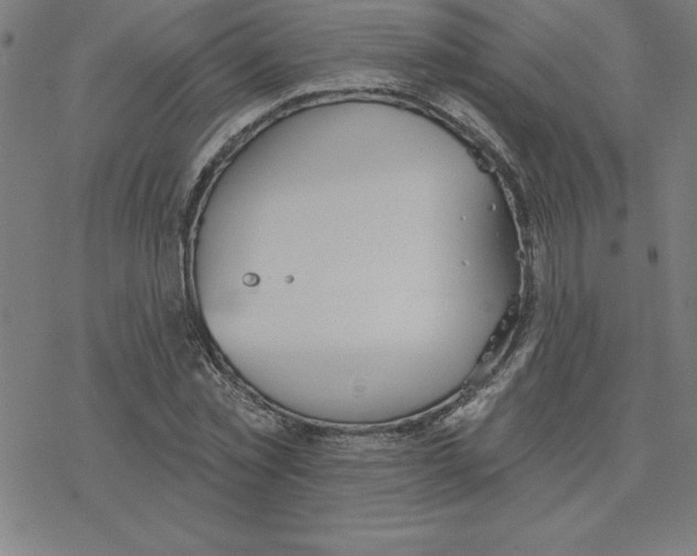 X0000078270781200612011718