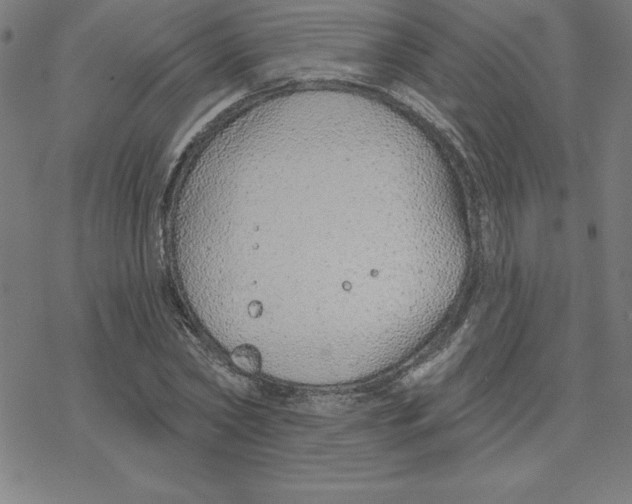 X0000078270782200612011718