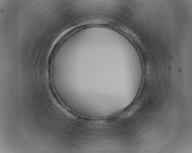 X0000078270784200612011718