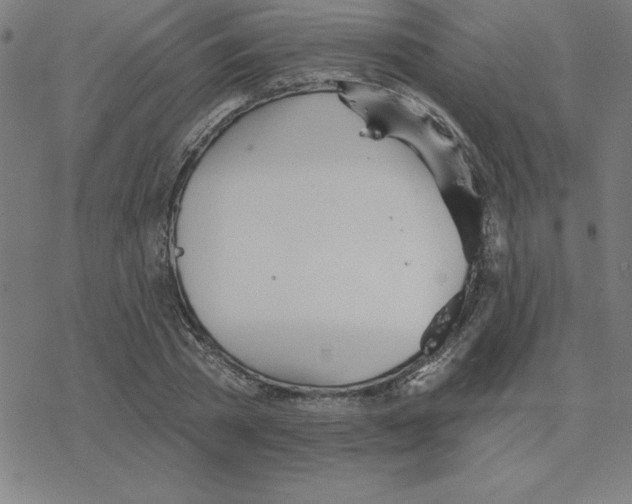 X0000078270785200612011718