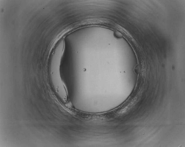 X0000078270786200612011718