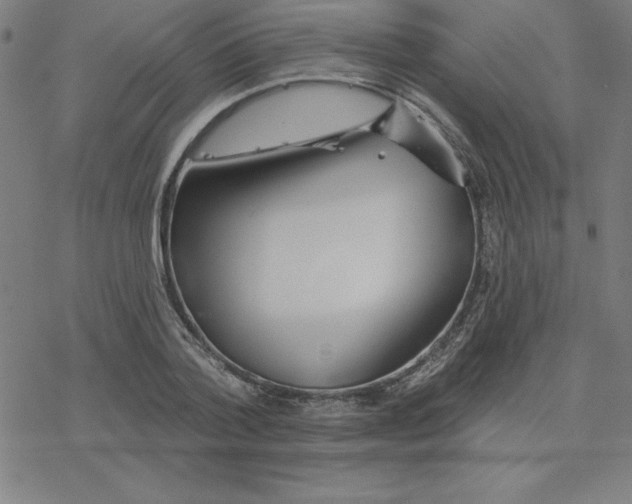 X0000078270788200612011718