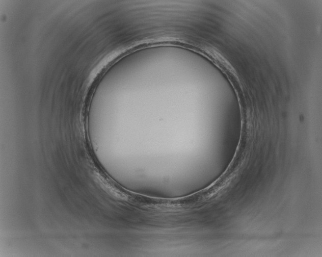 X0000078270789200612011718