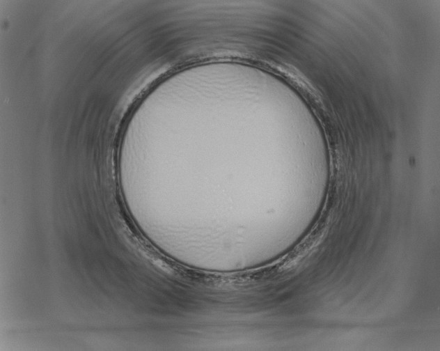 X0000078270790200612011718