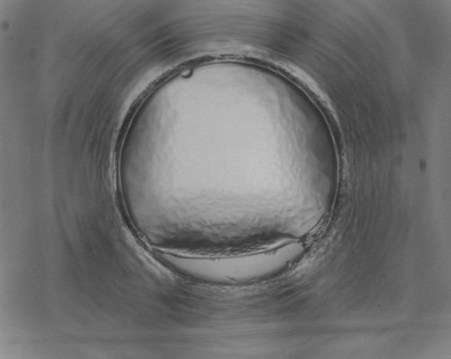 X0000078270791200612011718