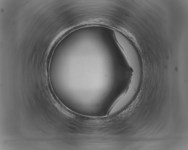 X0000078270792200612011718