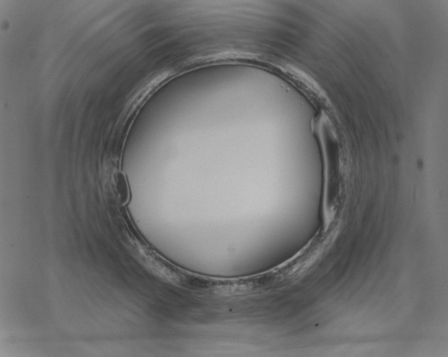 X0000078270793200612011718