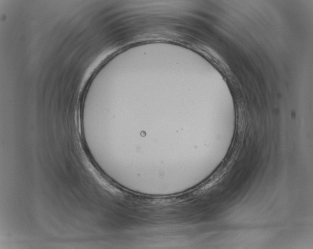 X0000078270796200612011718