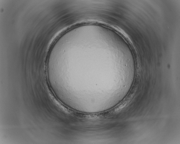 X0000078270799200612011718