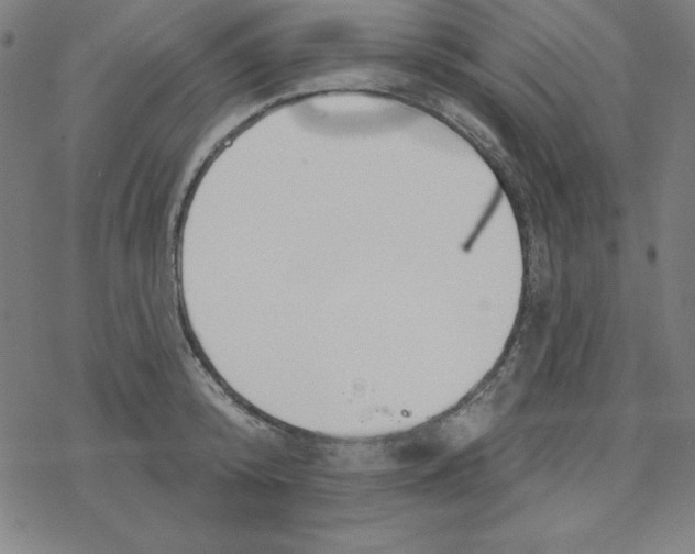 X0000078270800200612011718