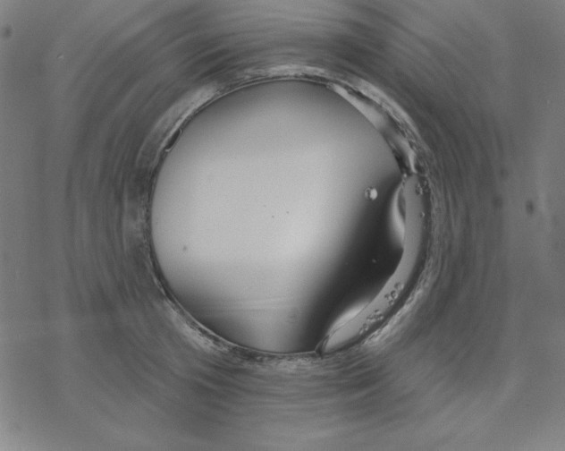 X0000078270801200612011718