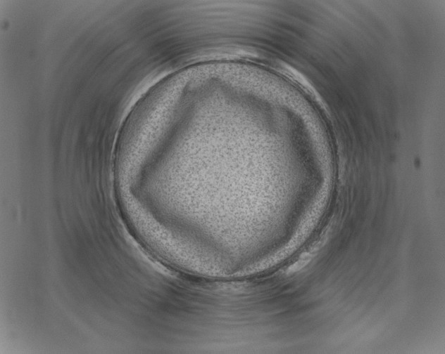 X0000078270802200612011718