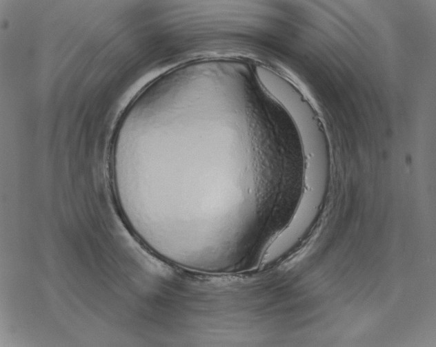 X0000078270803200612011718